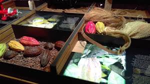 MUSEE DU CHOCOLAT