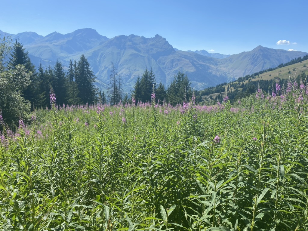 PAYSAGE PAYSAGE